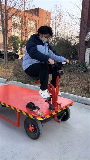 Electric pallet truck, electric flatbed truck, loading and unloading tool, warehousing and logis