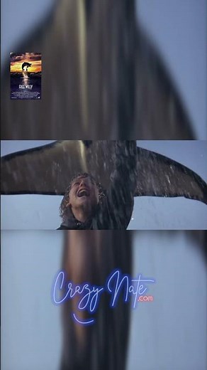 Free Willy: How a Movie Changed an Orca's Life!