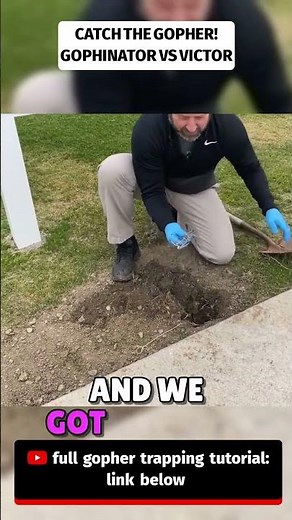 Best Gopher Trap? Let’s Test #gophercontrol #GopherTrap #DIYpestcontrol