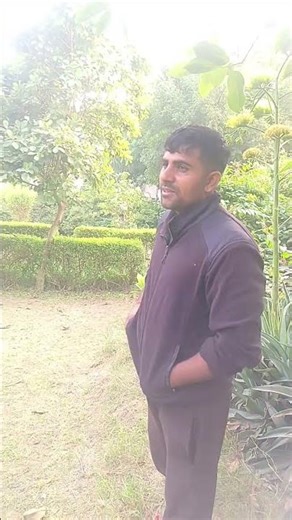 #short video #spongebob#hindi song#reelschallenge#short#spongebob#virel