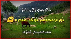 60K views · 3.2K reactions | تورغرمچیسر نوی سندرہ 珞 خالد دیدل وال پہ آواز شاعراکبرخان تورغراکازی ښائسته ښائسته عکسونو ویڈئوگانو له پاره زمونږ دغه پاڼه خواخه کړي او ملګرو سره يې /شريکه کړي مننه .https://www.facebook.com/profile.php?id=100094611183504&mibextid=ZbWKwL | Torghar Gluna تورغر گلونہ | Facebook