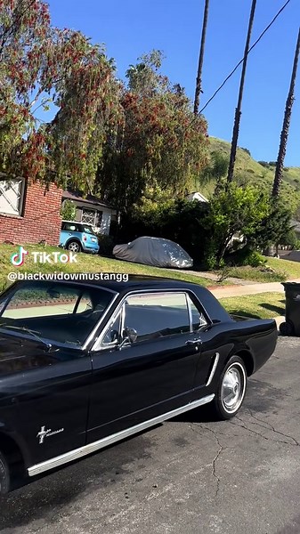 Driving a Classic 1965 Ford Mustang Experience