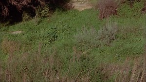 The.Dungeonmaster.1984.FRENCH.1080p.BDRiP.H264