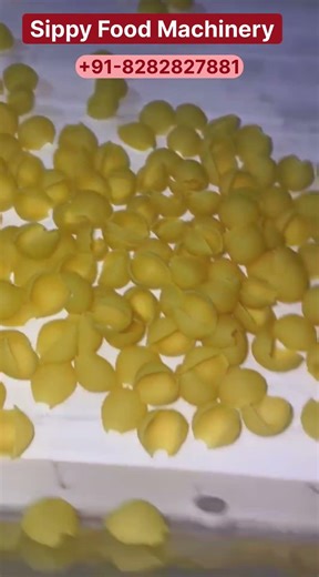 Pasta Making Machine | Sippy Food Machinery