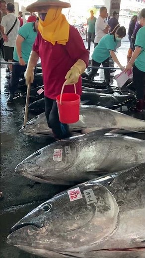Do You Know How to Measure a Giant Bluefin Tuna's Length? #bluefin #tuna #fishmarket
