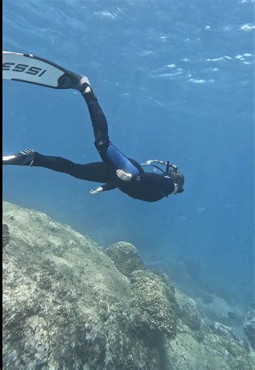 Always happiest underwater 🧜🏼‍♀️🤿🌊🩵 #freediving #girlswhofreedive #scubadiving #oceanlover