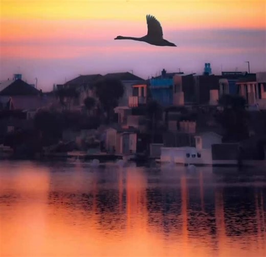 Photo of the day 📸 Artist: @wolfsnapper ✨✨ Congratulations on your feature 🙂 ========================== Tag @shorehamscene #shorehamscene Please find us on Instagram as shorehamscene . . #shorehamscene #shoreham #shorehambysea #shorehambyseascene #shorehamdaily #myshoreham #shoreham_life #shorehamlove #visitshoreham #coolshoreham #shorehamherald #iloveshoreham #shorehamonsea #shorehamphoto #shorehamliving #shorehamupdaily #weareshorehambysea #shorehamuk #visitshorehambysea #shorehamtown #igers