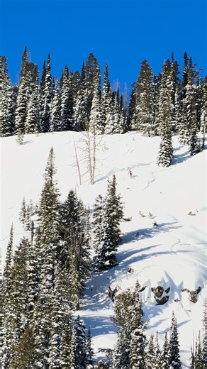 Just a bunch of shiny happy people floating through Montana/Idaho powder 😃❄️ #PowderThursday is doing its thing again… #losttrailskiarea #getoutside | Lost Trail Ski Area