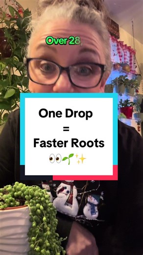 Prop Drops - Liquid Root Growth Stimulator for Houseplant Propagation #planttok #houseplantlove #propagationstation #plantgrowth #planthacks