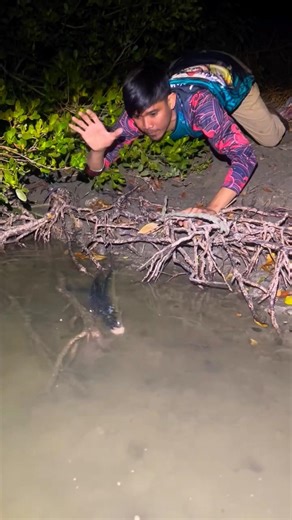 unbelievable trick of fish catching#video #fish #carp