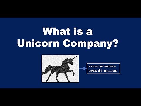 What is a Unicorn Company?