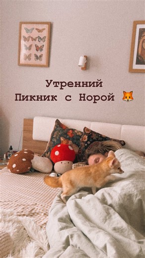 Фенек: удивительный зверь пустыни