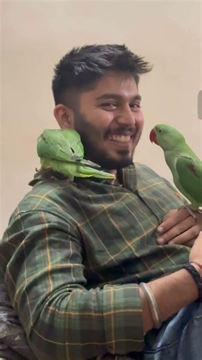Aslil tota hai humara isne to bhai ko bhi nhi choora 😂😂😂😂😂😁#viral #shortvideo #love