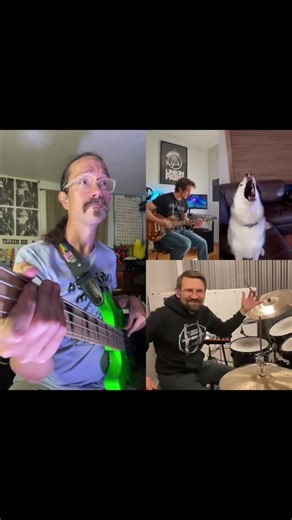 Linkin Park Husky