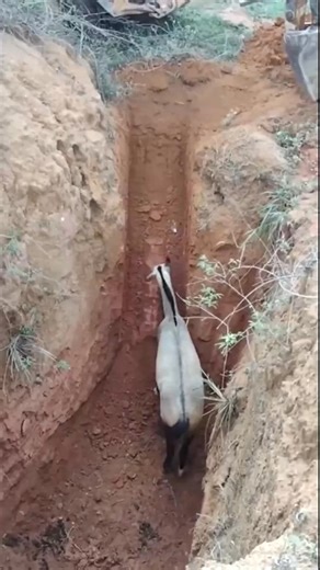 Machinery work involves the operation, maintenance, and supervision of mechanical equipment to ensure efficient production, construction, or repair processes. #excavator #construction Ma6.0300 | Tech 590M | Facebook