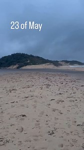 This morning - 23rd May swan lake is flowing… #sussexinlet #sussex #shoalhaven #nsw #swankake | Sussex Inlet Local