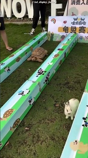 “When the Tortoise Proved the Story Was Real”#shortsfeed