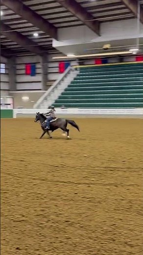 Ok run on flash today the first was gorgeous #flashmeeddie