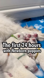 163K views · 5.7K reactions | Before anyone gets too excited (or...