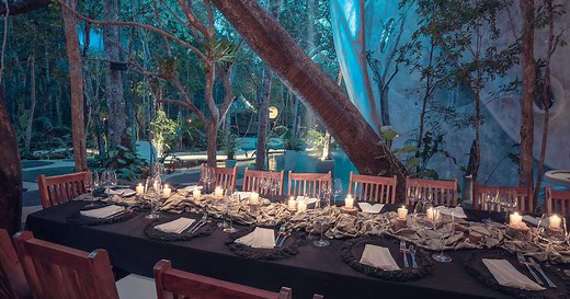 Jungle Cuisine by AZULIK | AZULIK