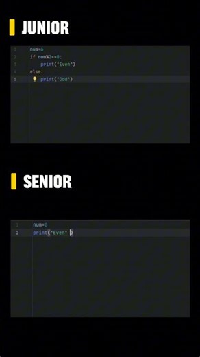 junior developer vs senior developer #python #developers #coding
