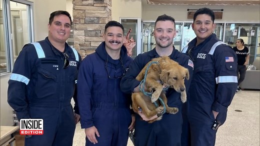 416K views · 10K reactions | U.S. Coast Guard inspectors were baffled when they discovered a dog inside a shipping container in Texas. The adorable dog was trapped inside the container for at least eight days. | Inside Edition | Facebook