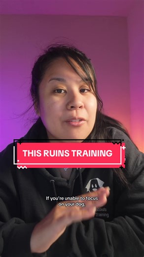 Too often, I will go to a client’s home to help them train their dog and the TV is on, the other dog is distracting the dog who’s in training, the kids are being disruptive, or other people are moving about during the session. This sets you and your dog up to fail. You will get frustrated that your dog is distracted and “not listening” and your dog will be lost & confused, unsure what you’re asking and why you’re feeling the way you are. Training doesn’t have to be a long & drawn out session — j