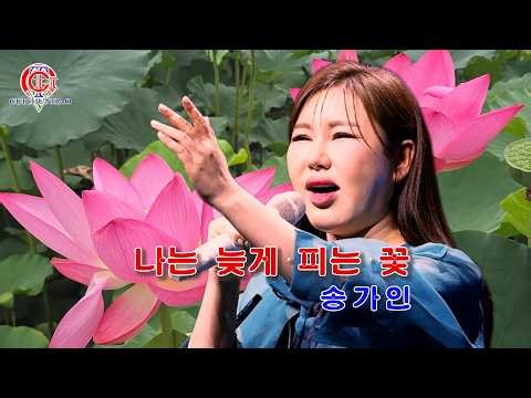 송가인 ‘나는 늦게 피는 꽃’ 2026 신곡