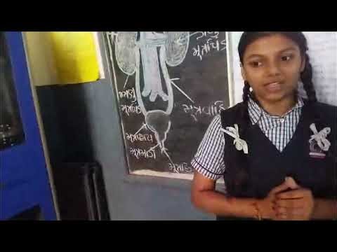 Laser security system science fair project 🏆🏆