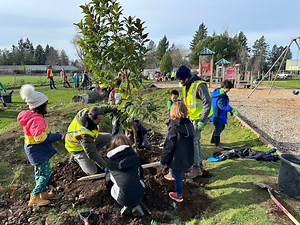 Portland would plant 660,000 trees, reduce cost of tree care for residents under new plan