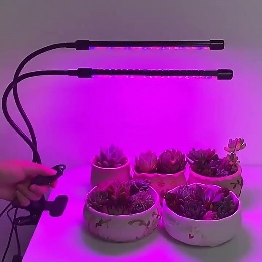 USB LED Grow Light 🌱 Full Spectrum Timer 🌞 Best Indoor Gardening #ledgrowlights #growlight