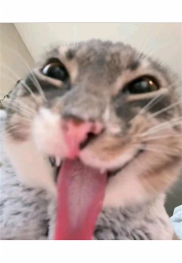 #ootd #fyp #xyzabc #kijkenmaarnietliken #sunny