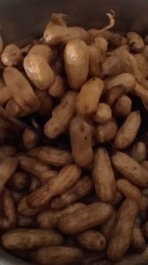 Instant Pot Boiled Peanuts