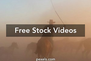 Cowboy Sunset Videos, Download The BEST Free 4k Stock Video Footage & Cowboy Sunset HD Video Clips