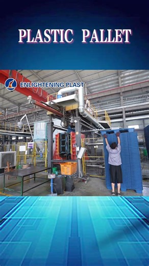 Immersive Tour of Pallet Factory! The Amazing Transformation from a Plate to a Finished Pallet