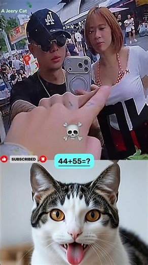 Mirror Fun Reaction 🪞🤣 #funny #cat #dance #shorts