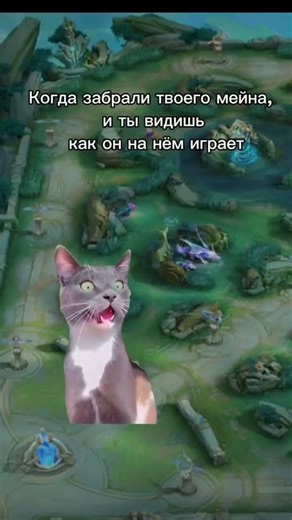 🤪🤪🤪🤪 #mlb#mobalegends#moba#mlbb#moba5v5#mobilelegends#meme#мобайллегенд
