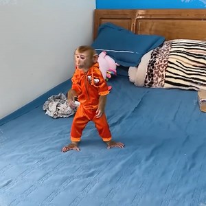 3.2K views · 312 reactions | Monkey KaKa See What_s Wrong With These Clothes | A Bi Monkey | Facebook