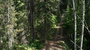 Head to Golden, B.C. and experience an authentic mountain town that is a paradise for outdoor adventure. | Tourism Golden