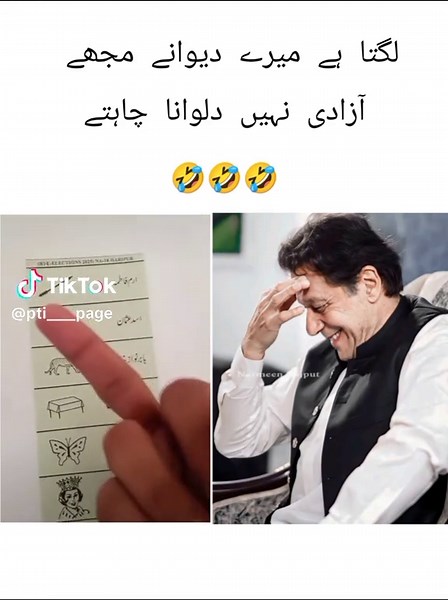 Imran Khan Zindabad: TikTok Humor Unleashed