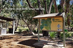 Botanic Gardens Free Camp, Emerald Qld