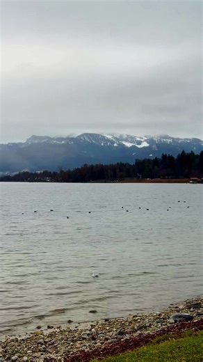 Heute stand wieder Laufen am Plan. Es hst zwar so stark geregnet, aber das hat mich nicht abgehalten, die Natur ist dann umso ruhiger. Heute habe ich versucht bei einem Kilometer rauszuholen was geht, daher auch nur 3km. Aber ich bleib dran. #triathlontraining #laufenlernen #swimrun #triathletin #journeystart