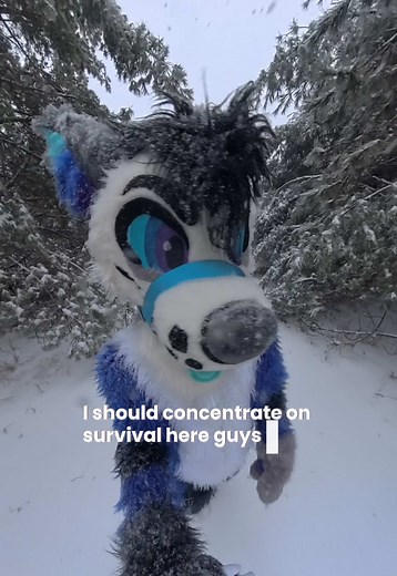 That 360 Furry (@360furry) - the wolves don’t need to know | wolves