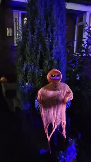 Halloween 2025 Garden decoration setup . Trick or treat !.