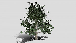 Low Poly Tree 3 - Download Free 3D model by joehorwood
