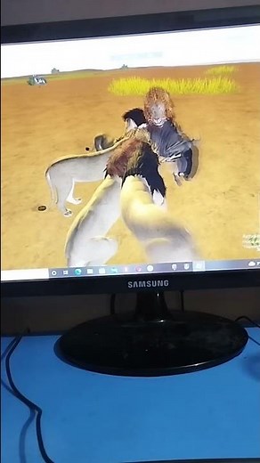 wild savannah roblox lion hunt zebra