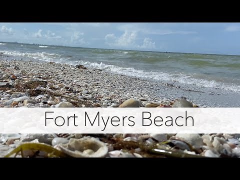 Finding sea shells on the beach. Low tide shelling on Fort Myers Beach Florida.