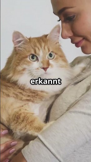 „Ist meine Katze krank? Diese 5 Anzeichen sind eindeutig! 🩺🐱“