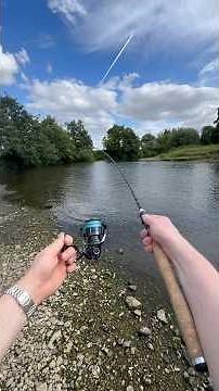 UL trout fishing setup for wild trout in rivers #fishing #ulfishing #troutfishing #lfishingtackle