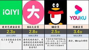 最好用的软件会员评分排行